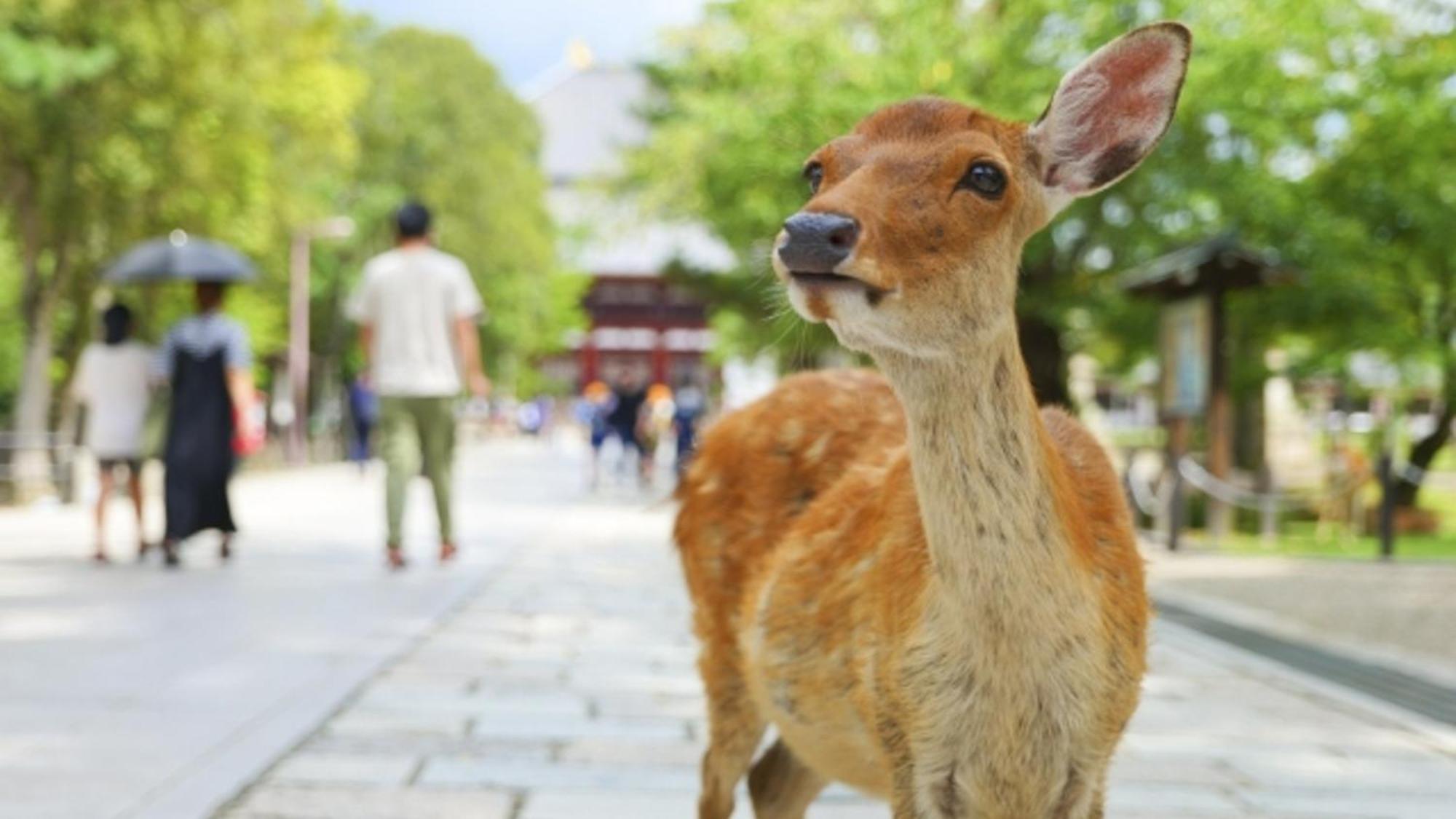 Arashi Nambaminami Hotel 4*